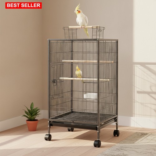 Bird flight cage wrought - flight, in