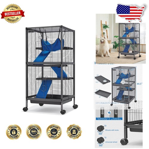 Spacious chinchilla guinea - spacious,